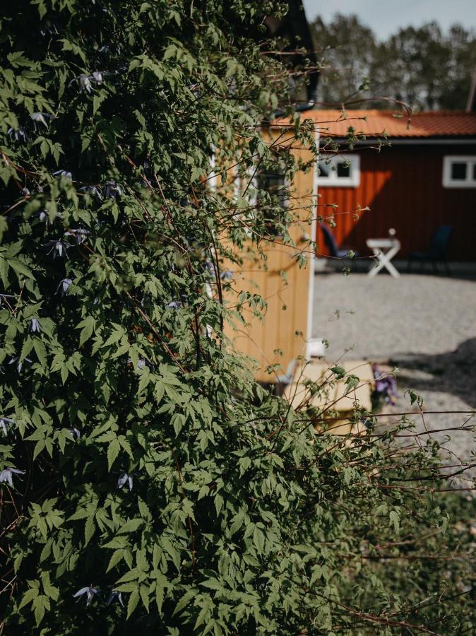 Villa En Lantlig Idyll Med Skogen Precis Utanfoer Doerren! Ullared Exterior foto